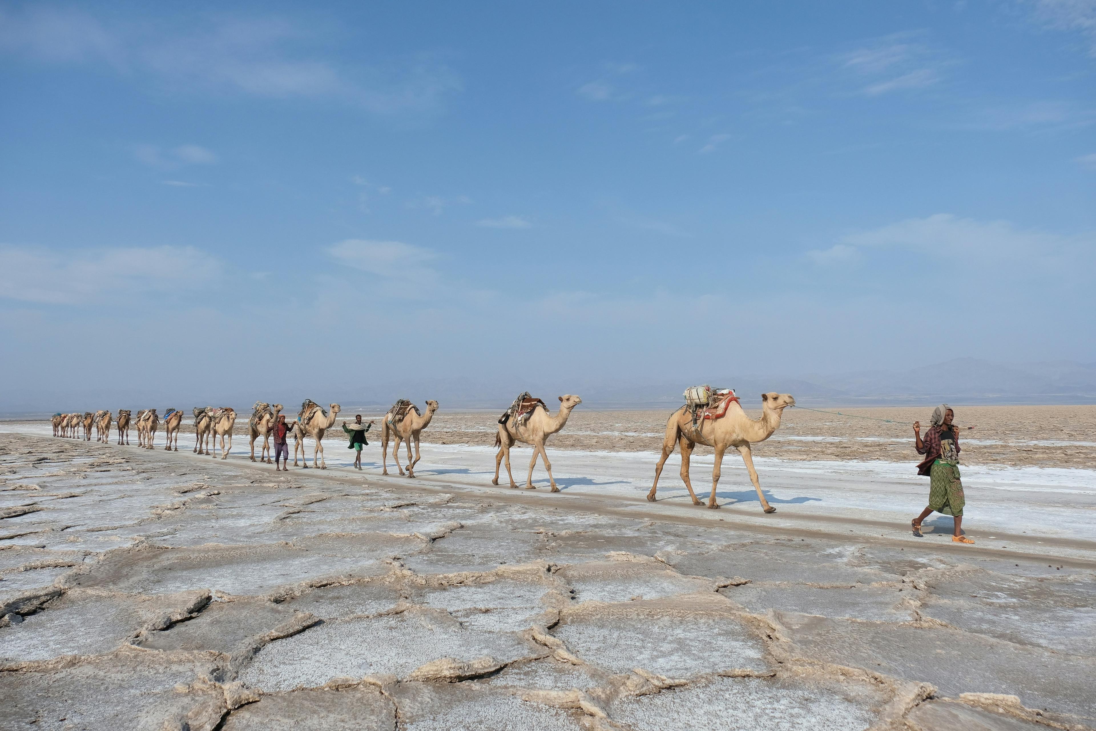 Dallol Salt Flats Tour